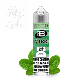 VIBR ADM - ICE GR - Shot 10+50 - TOB
