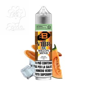VIBR ICE ADM - MELON MIND - Shot 10+50 - TOB